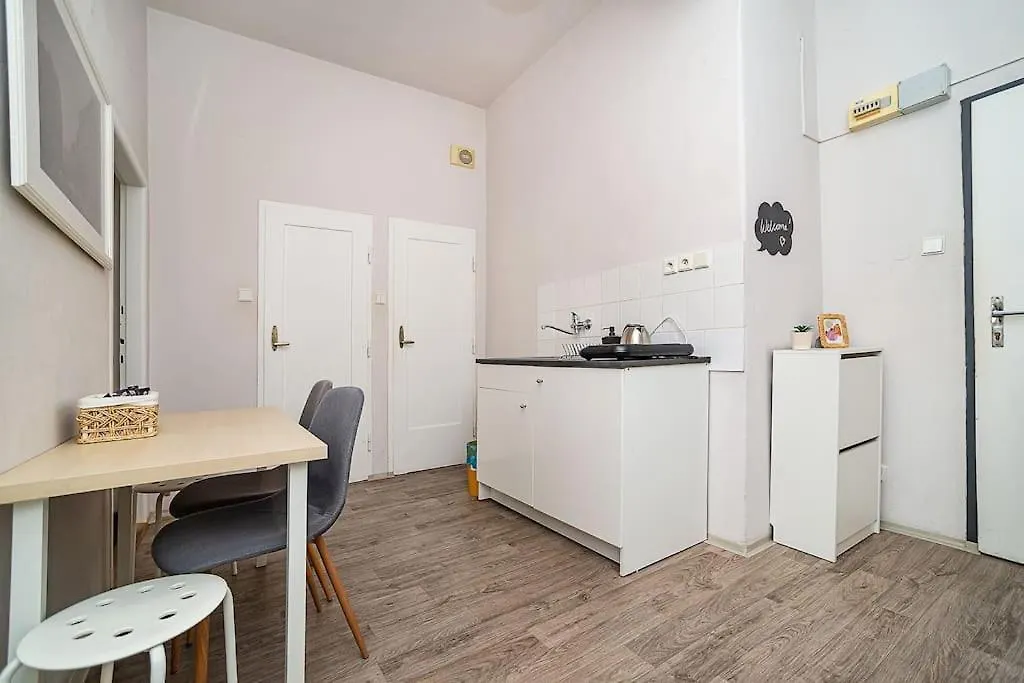 Apartment In Zizkov -203- Praga 0*,